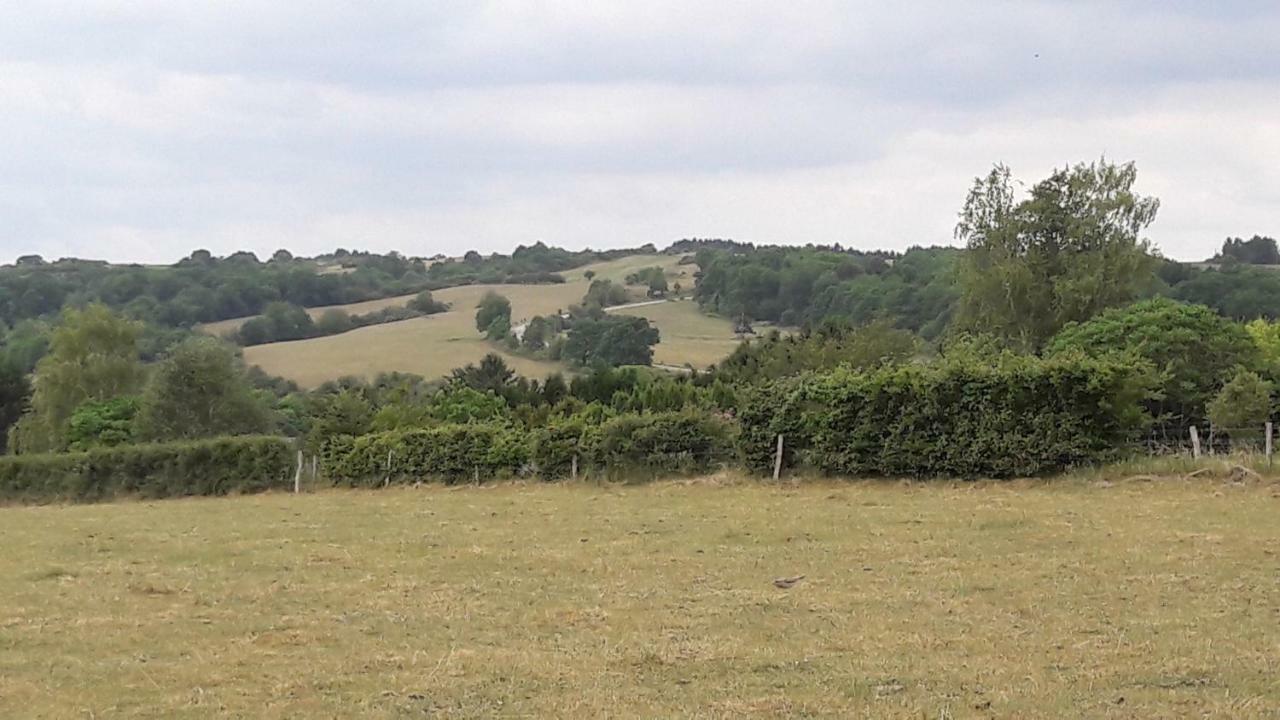 Fermette Ardennaise Typique Wanlin Exterior photo
